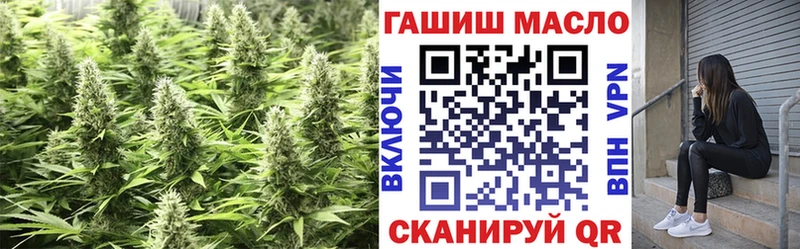 ТГК Wax  kraken   Городовиковск 